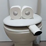Mr. Toilet